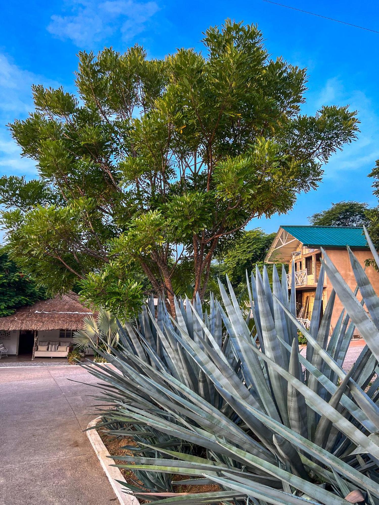Villas El Encanto Jalpan de Serra Exterior foto